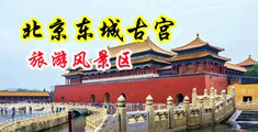 亚洲av爽歪歪无码湿湿中国北京-东城古宫旅游风景区